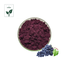 High Quality Grape Seed Extract